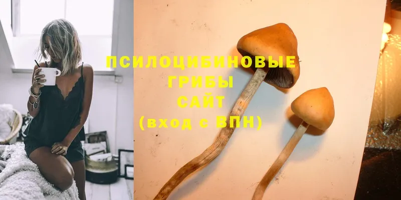 Галлюциногенные грибы Magic Shrooms  купить   Городовиковск 