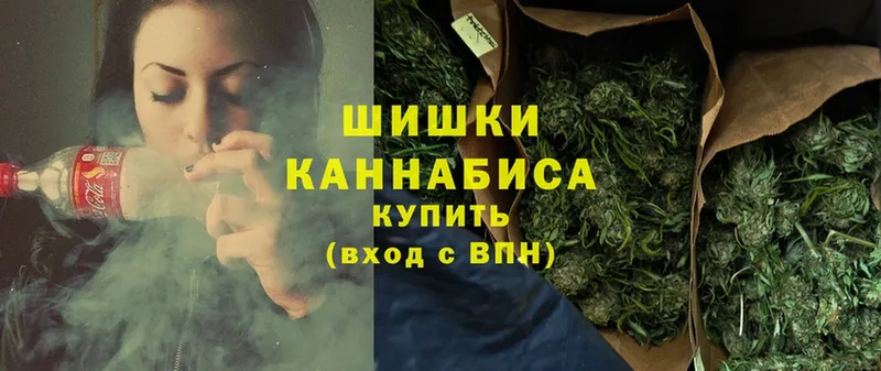 Бошки марихуана THC 21%  Городовиковск 